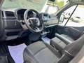 Renault Master Combi6 Blue dCi L2H2 3500 99kW Blanco - thumbnail 7