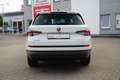 Skoda Kodiaq 1.4 TSI Style 4x4 Navi LED ACC AHK Kamera Weiß - thumbnail 7
