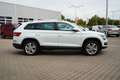 Skoda Kodiaq 1.4 TSI Style 4x4 Navi LED ACC AHK Kamera Weiß - thumbnail 5