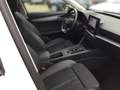 CUPRA Formentor 1.5 TSI DSG *LED *AHK *ACC *NAVI *ALU *CLIMA * Weiß - thumbnail 8