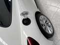 Volkswagen Scirocco 2.0TDI DSG Blanco - thumbnail 34