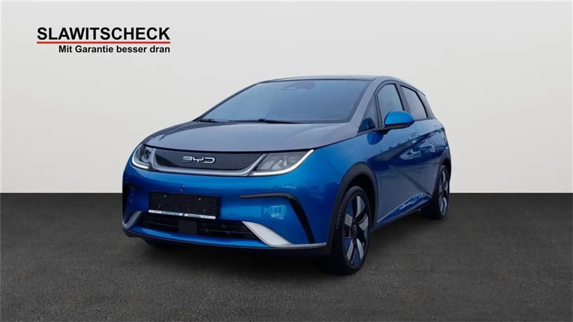 BYD Dolphin Design Bleu - 1