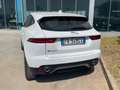 Jaguar E-Pace 2.0d i4 SE awd 150cv auto Wit - thumbnail 4