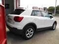 Audi Q2 Q2 1.6 tdi Business X NEO PATENTATI Wit - thumbnail 3