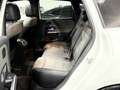 Mercedes-Benz B 220 AMG Line 4Matic Weiß - thumbnail 18