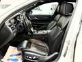 BMW 730 d xDrive Österreich-Paket Aut. Weiß - thumbnail 14