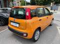 Fiat Panda 1.0 firefly hybrid 5POSTI, UNICO PROPRIETARIO Arancione - thumbnail 3