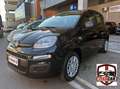 Fiat Panda Pandina III 2024 Pandina 1.0 firefly hybrid s Noir - thumbnail 3