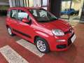 Fiat Panda Panda 1.2 Lounge Rouge - thumbnail 1