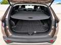 Hyundai TUCSON Tucson 1.6 TGDI 48V Tecno 2C 4x2 DT Tecno 2C Bronce - thumbnail 13