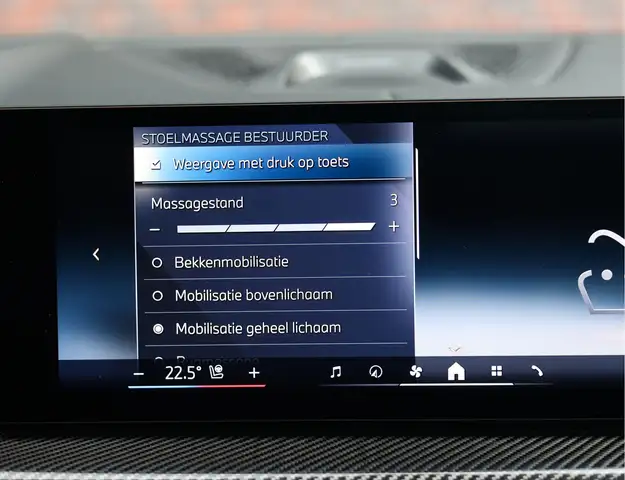 BMW X5 view 30