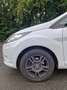 Ford Fiesta 1.25 Champions Edition Weiß - thumbnail 6