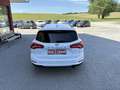 Ford Focus Traveller 1,5 Trend *1.BESITZ*WINTER-PAKET*TEMP* Weiß - thumbnail 5