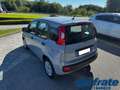 Fiat Panda III 1.0 70Cv FireFly S&S Mild-Hybrid Gris - thumbnail 3