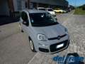 Fiat Panda III 1.0 70Cv FireFly S&S Mild-Hybrid Gris - thumbnail 7