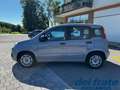 Fiat Panda III 1.0 70Cv FireFly S&S Mild-Hybrid Gris - thumbnail 2
