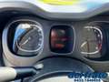 Fiat Panda III 1.0 70Cv FireFly S&S Mild-Hybrid Gris - thumbnail 12
