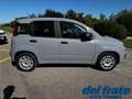 Fiat Panda III 1.0 70Cv FireFly S&S Mild-Hybrid Gris - thumbnail 6