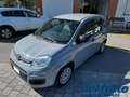 Fiat Panda III 1.0 70Cv FireFly S&S Mild-Hybrid Gris - thumbnail 1