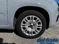 Fiat Panda III 1.0 70Cv FireFly S&S Mild-Hybrid Gris - thumbnail 17