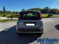 Fiat Panda III 1.0 70Cv FireFly S&S Mild-Hybrid Gris - thumbnail 4