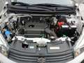 Suzuki Celerio Celerio 1.0 Club, ABS, ESP, Klima, ISOFIX Weiß - thumbnail 15