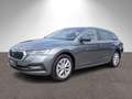 Skoda Octavia Combi Style 4x4 2.0TSI DSG Stdhz HUD AHK Grau - thumbnail 1