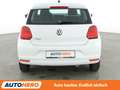 Volkswagen Polo 1.0 Trendline*KLIMA*GARANTIE* Weiß - thumbnail 5