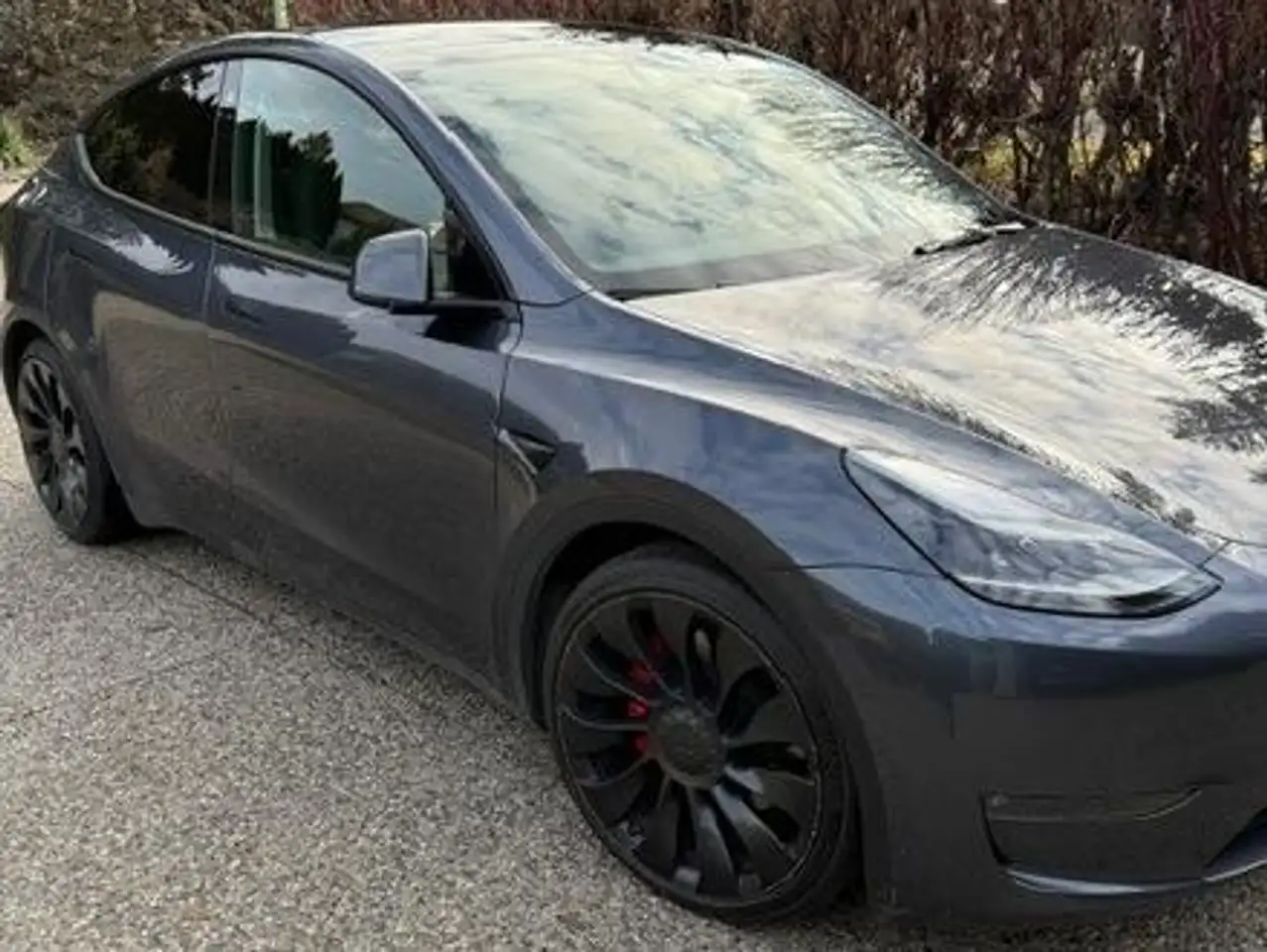 Tesla Model Y снимка Tesla Model Y