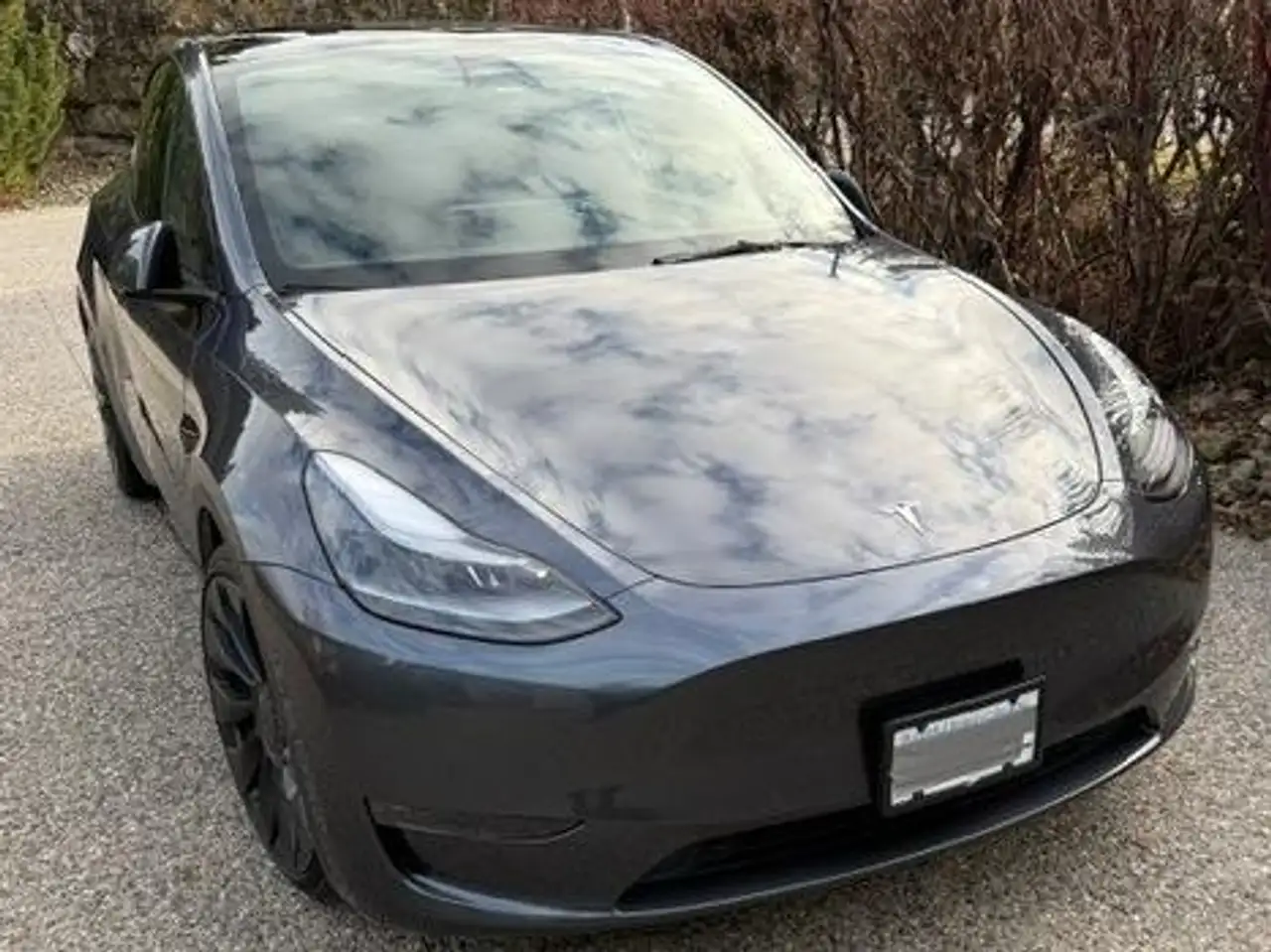 Tesla Model Y снимка Tesla Model Y