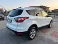 Ford Kuga Kuga 1.5 TDCI 120 CV S&S 2WD Business Bianco - thumbnail 7