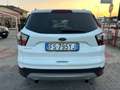 Ford Kuga Kuga 1.5 TDCI 120 CV S&S 2WD Business Bianco - thumbnail 5