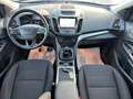 Ford Kuga Kuga 1.5 TDCI 120 CV S&S 2WD Business Bianco - thumbnail 12