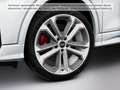 Audi SQ2 TFSI quattro S tronic Navi AHK Pano Sonos Weiß - thumbnail 12