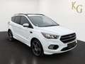Ford Kuga 2.0 TDCi ST-Line 4x4 ab ca. 128€ monatlich Weiß - thumbnail 10