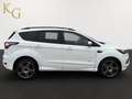 Ford Kuga 2.0 TDCi ST-Line 4x4 ab ca. 128€ monatlich Weiß - thumbnail 9