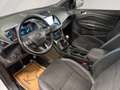 Ford Kuga 2.0 TDCi ST-Line 4x4 ab ca. 128€ monatlich Weiß - thumbnail 15