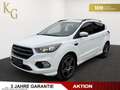 Ford Kuga 2.0 TDCi ST-Line 4x4 ab ca. 128€ monatlich Weiß - thumbnail 1