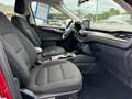 Ford Kuga PHEV Titanium+AHK *GUTE AUSSTATTUNG* Rot - thumbnail 11