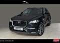 Jaguar F-Pace 20d R-Sport Navi ACC 360°Kamera Panoramaschiebe Siyah - thumbnail 1