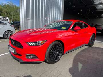 2.3 Fastback 317PK Manueel