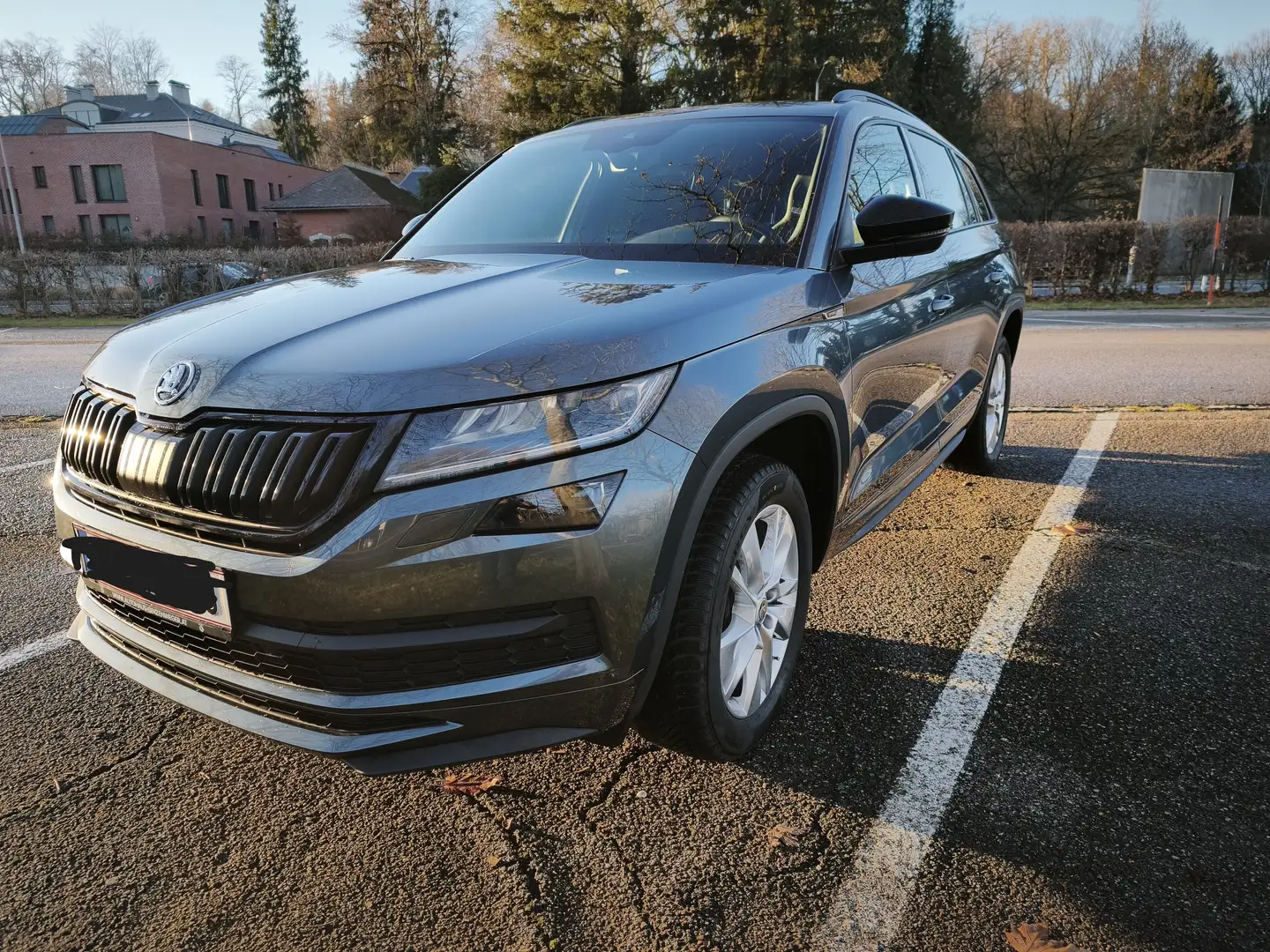 Skoda Kodiaq Kodiaq 2,0 TDI SCR 4x4 Sportline DSG Sportline Grau - 2