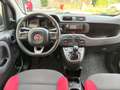 Fiat Panda Panda 1.2 Easy 5 POSTI Bianco - thumbnail 10