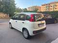 Fiat Panda Panda 1.2 Easy 5 POSTI Bianco - thumbnail 4