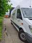 Mercedes-Benz Sprinter 313 CDI Sprinter 906.731 Blanc - thumbnail 9