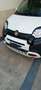 Fiat New Panda panda cross - thumbnail 11