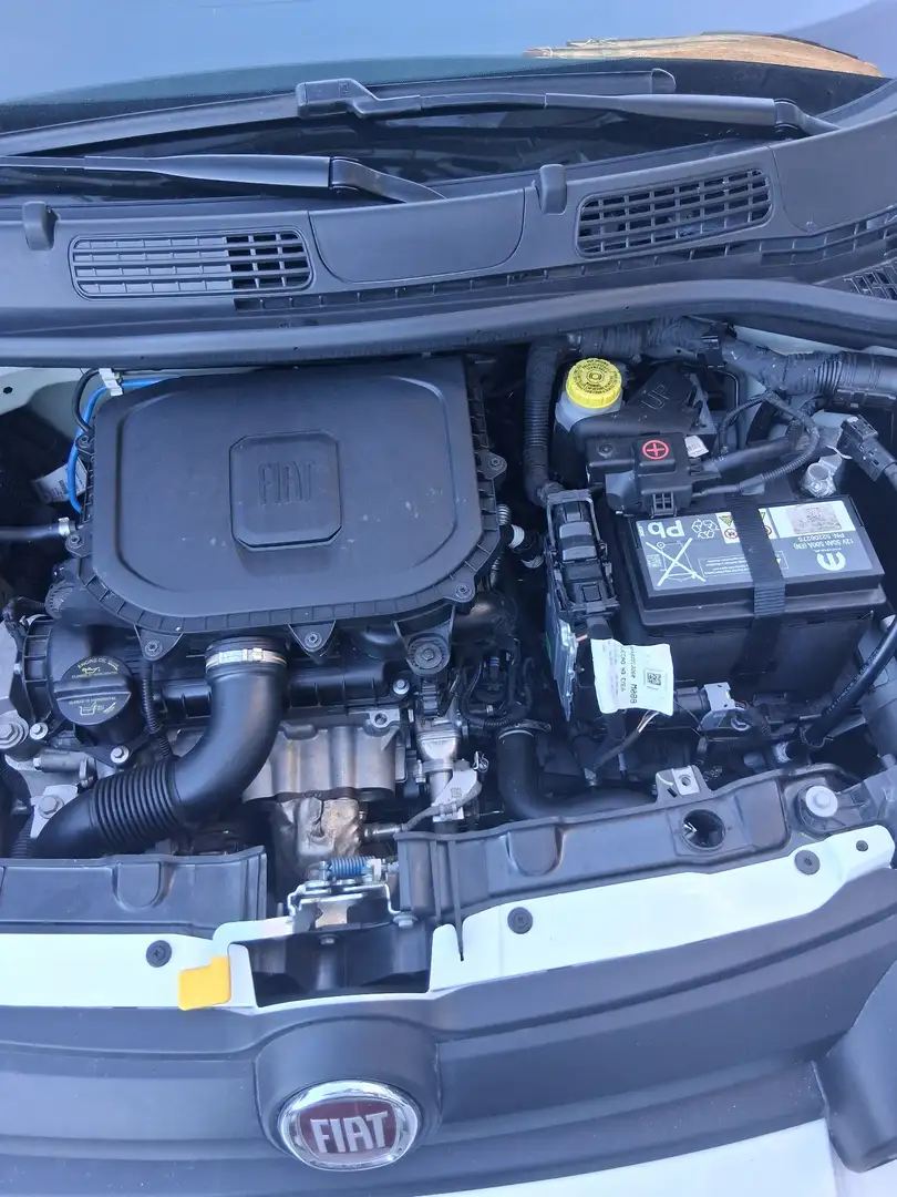 Fiat New Panda panda cross - 2