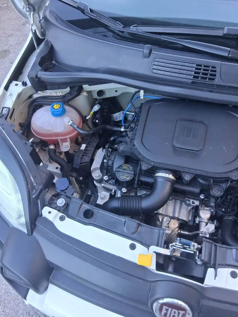 Fiat New Panda panda cross - 1