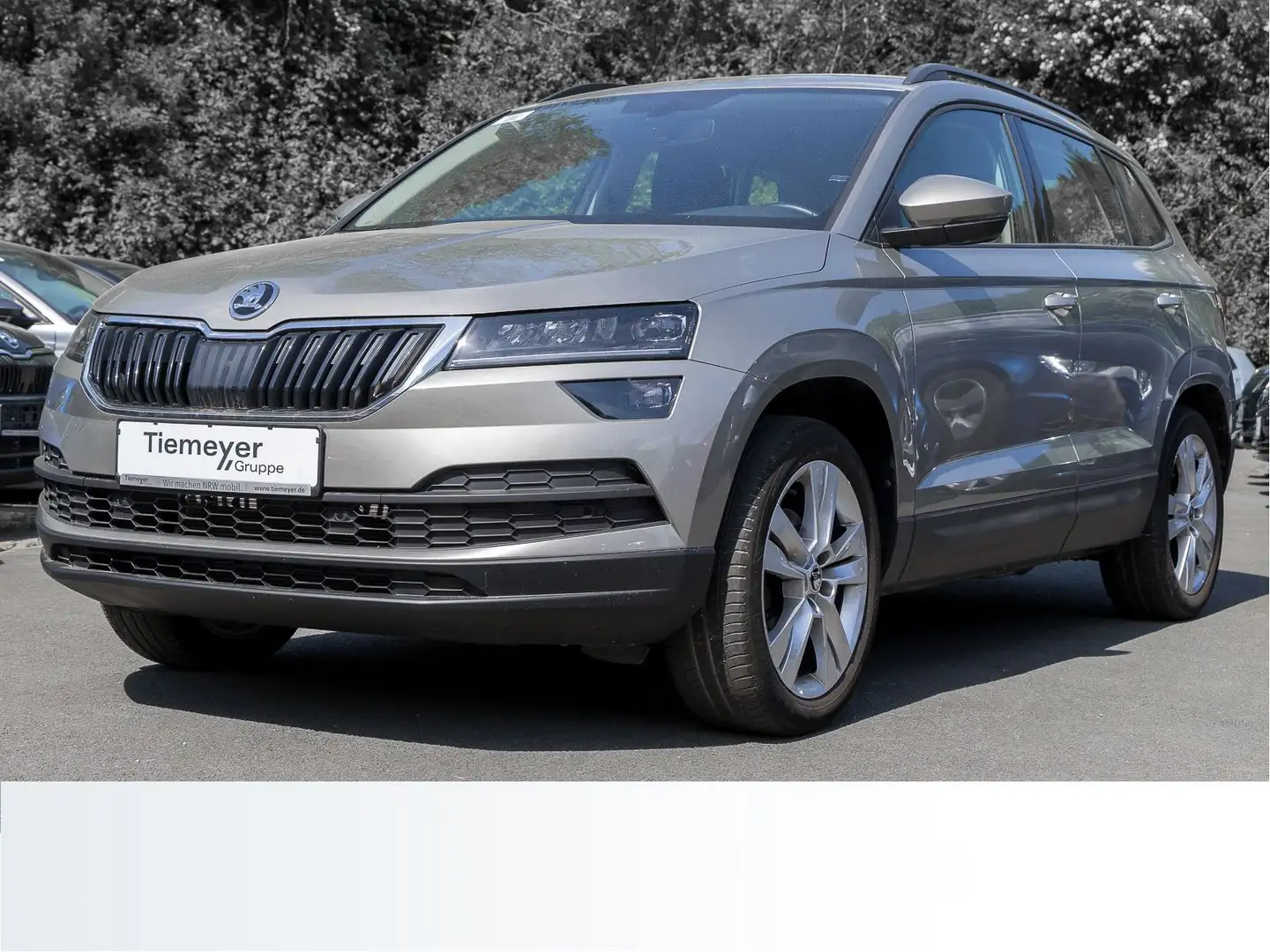 Skoda Karoq 1.5 TSI STYLE NAVI LED VARIOFLEX Beige - 2