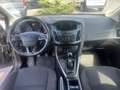 Ford Focus Business Grau - thumbnail 11